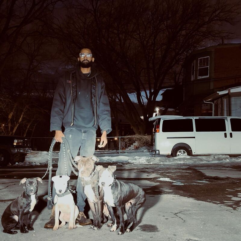 How many do you own?