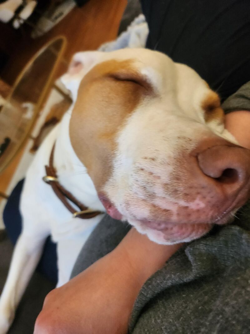 The quickest I've ever made a best friend.