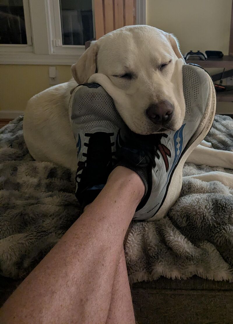 Hmm...where can I lay my head