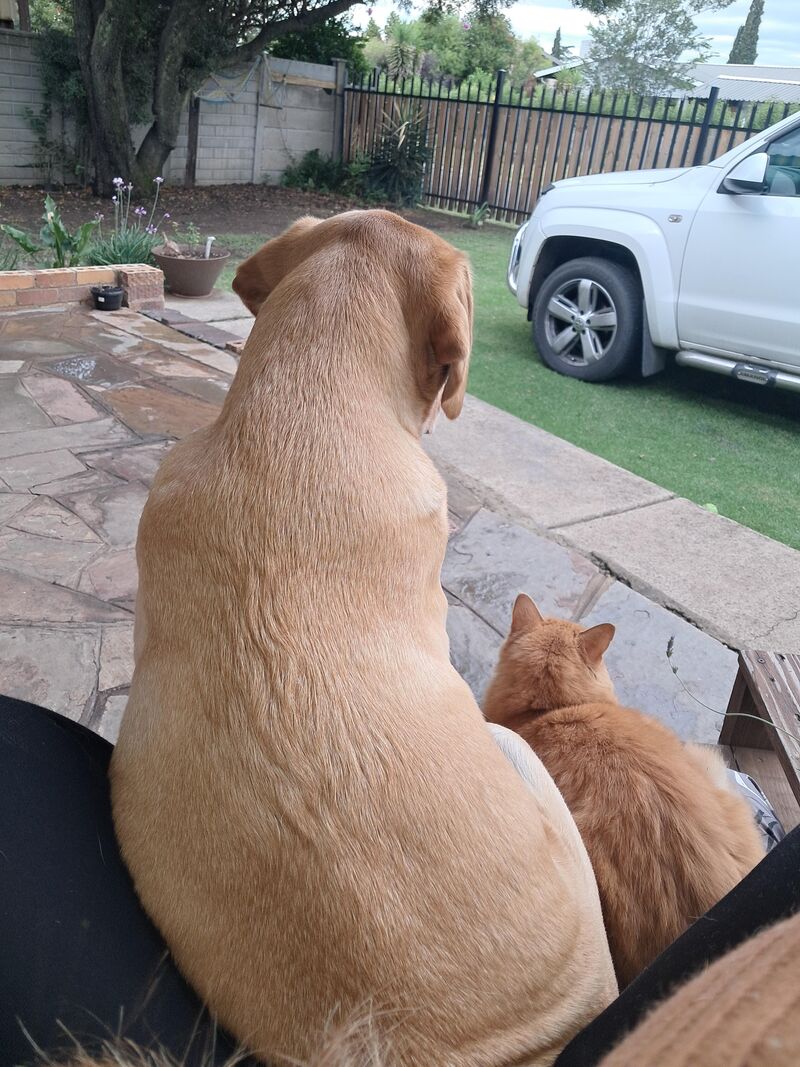 Lab owners don't have the luxury of personal space ♥️