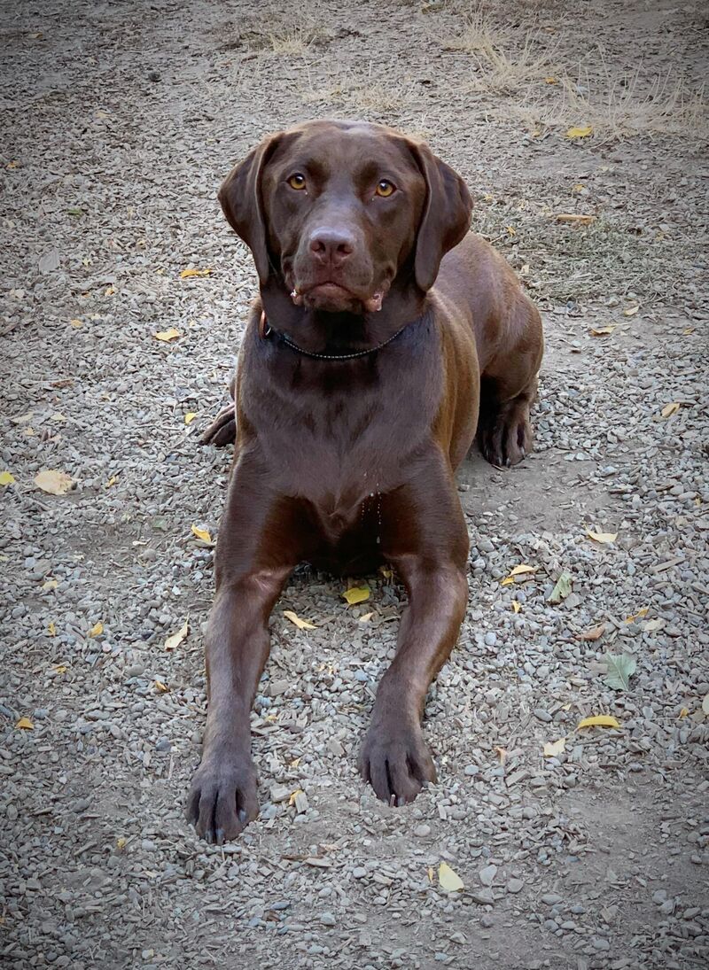 ACL surgery today, any recovery tips?