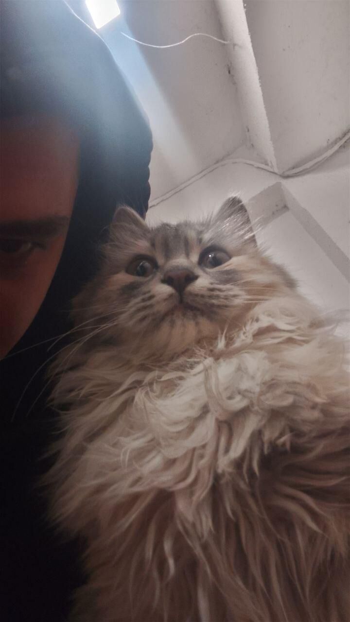 This is Ben and he turns 4 today