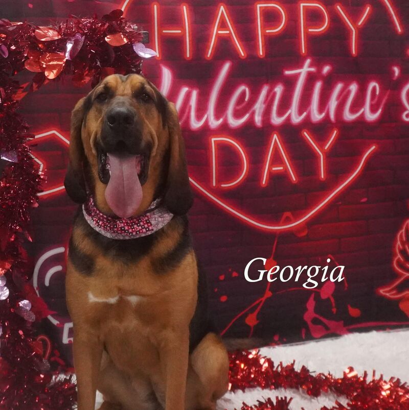 Happy Valentine’s Day from Georgia Peach! 💕