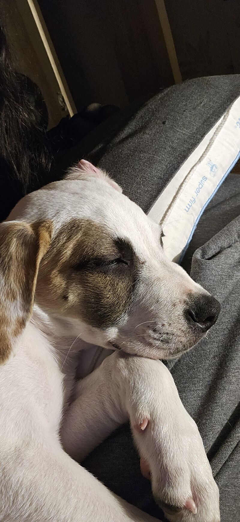 Another successful rescue. Let's do our part!