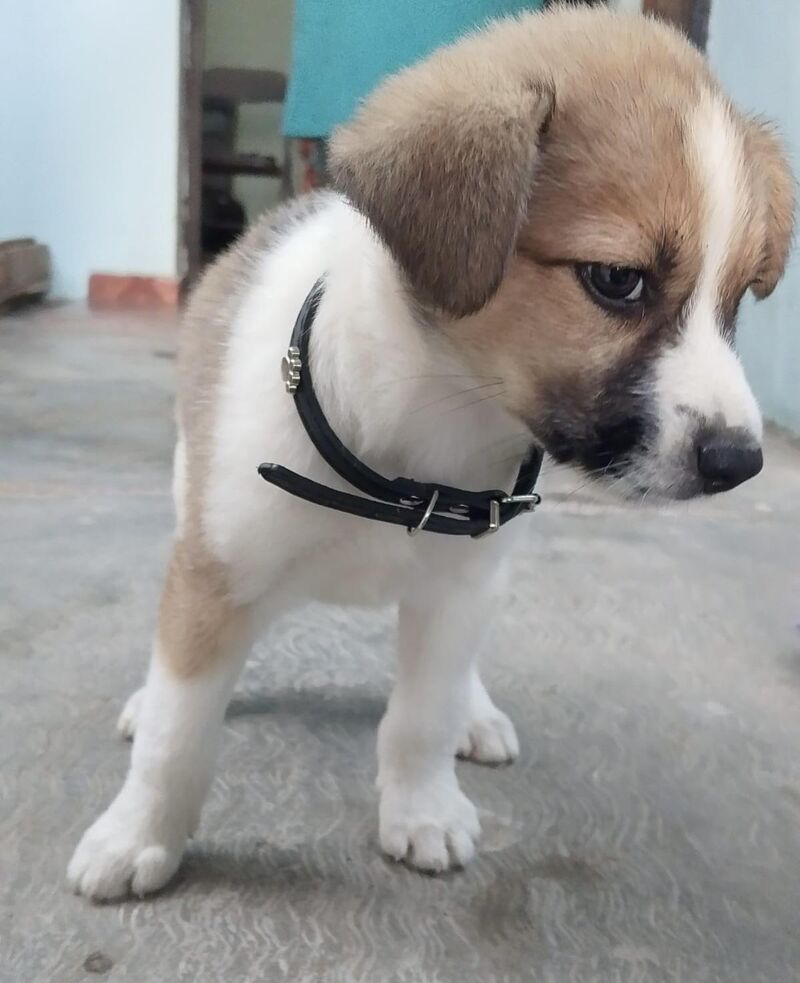 I can't with this face 😅😅