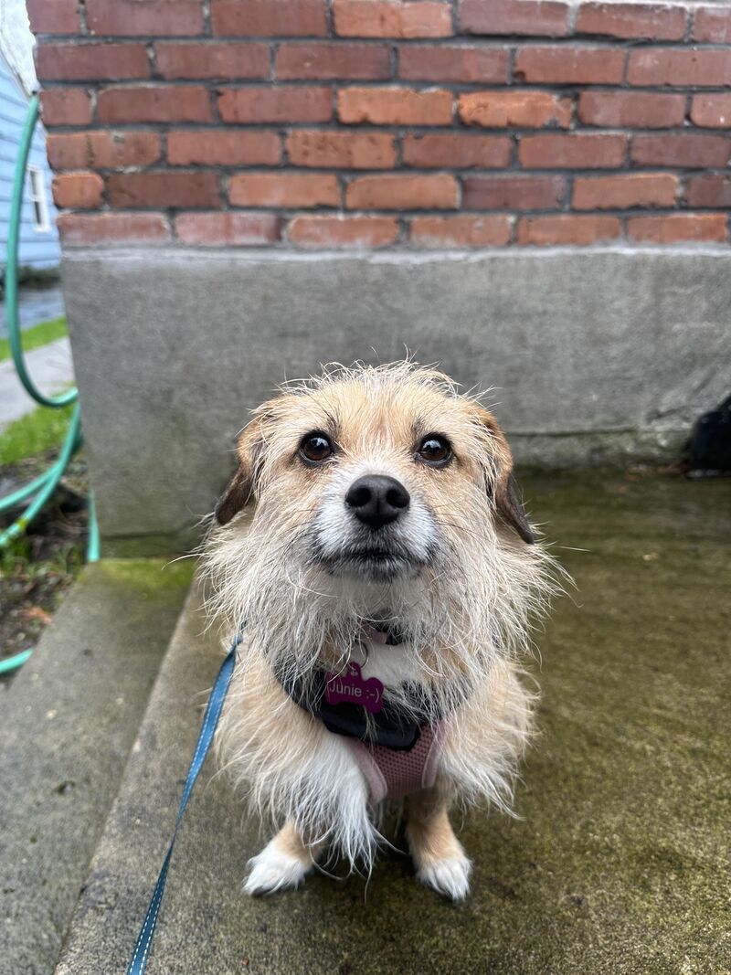 She’s being very brave about having to go out in the rain