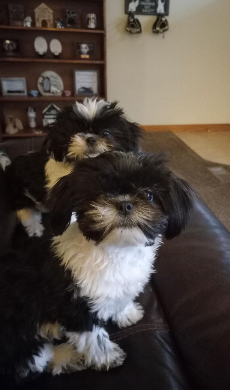 They heard a bag of snacks being opened.
