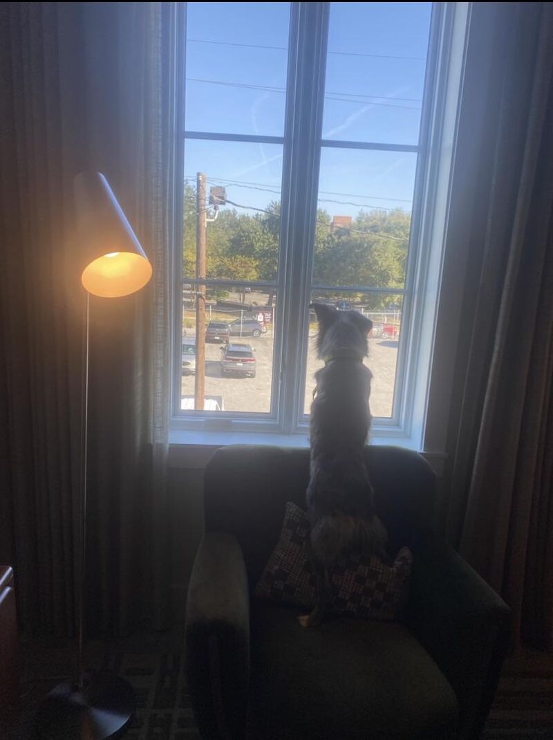 Looking for our next adventure 😋