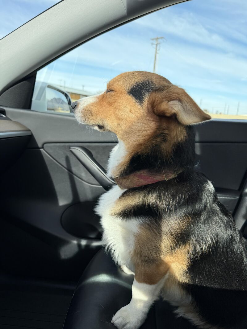 When the human does what you want…