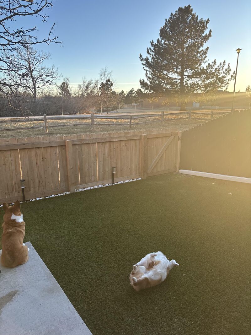 One is not like the other