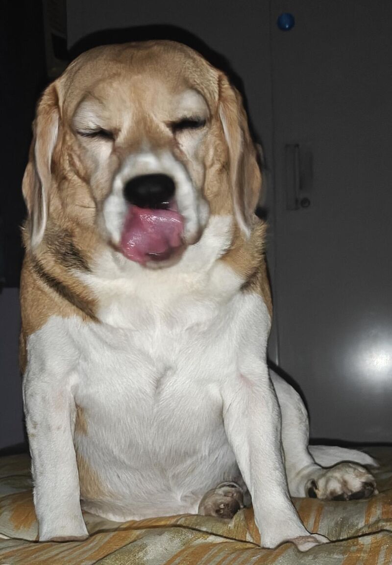 Just 2 AM peanut butter selfies