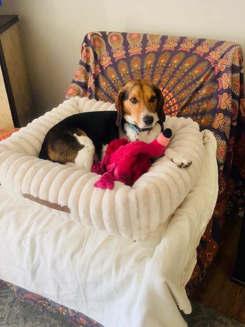 Eddie is hanging out with his aunt for a week. She’s treating him like the king he is.