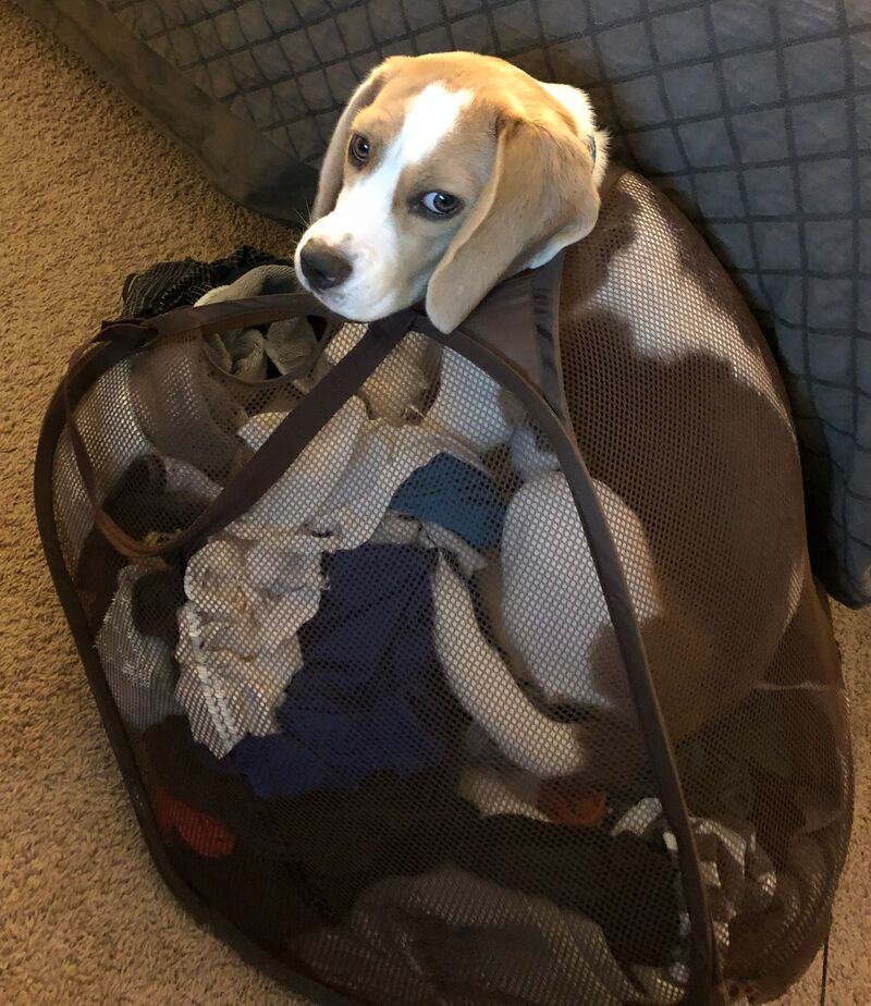 Walked in on Brooke doing the laundry