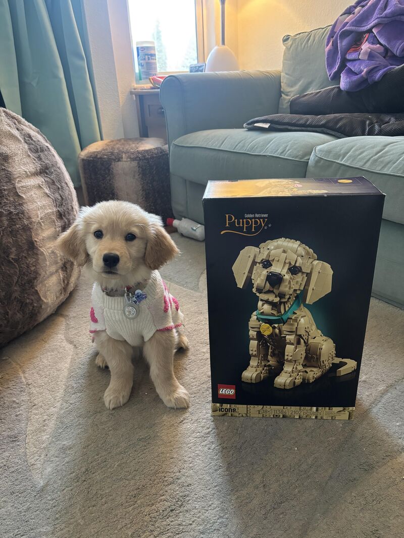 Best Valentine’s Day Gift Ever