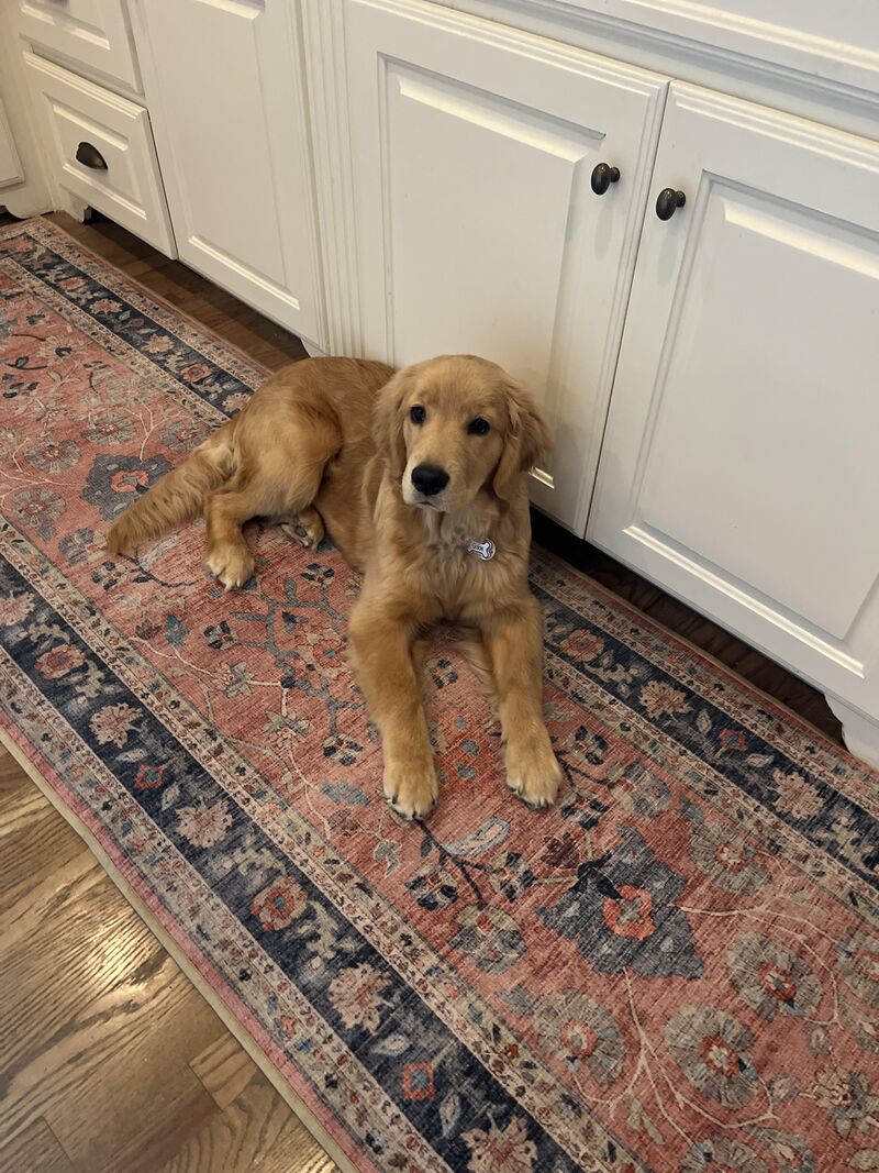 About 6 Months and Getting Big