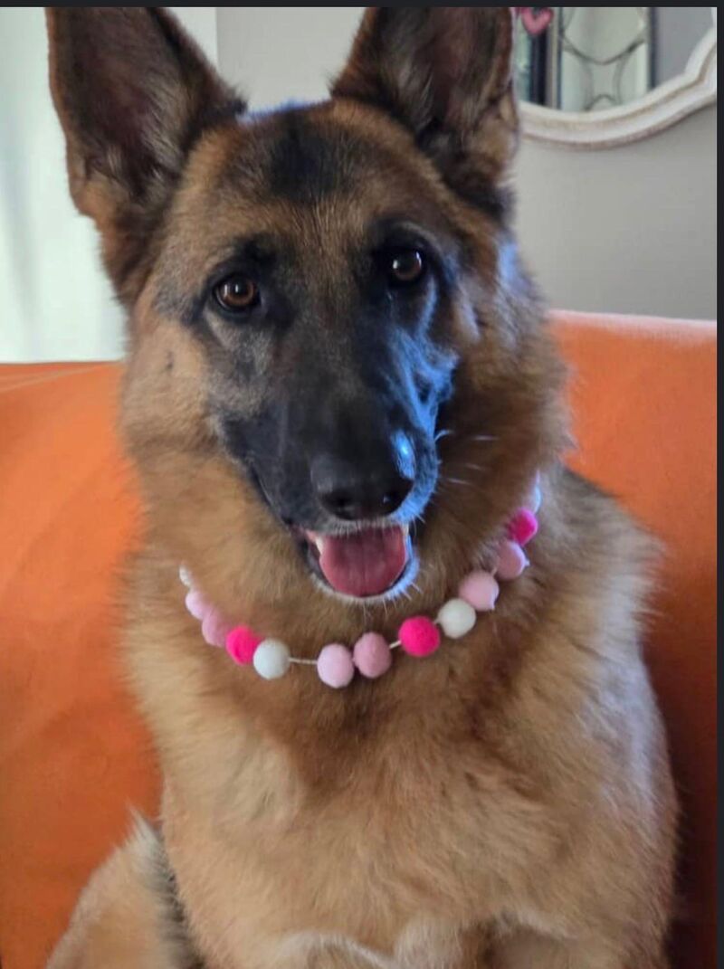 Happy Valentine’s Day!