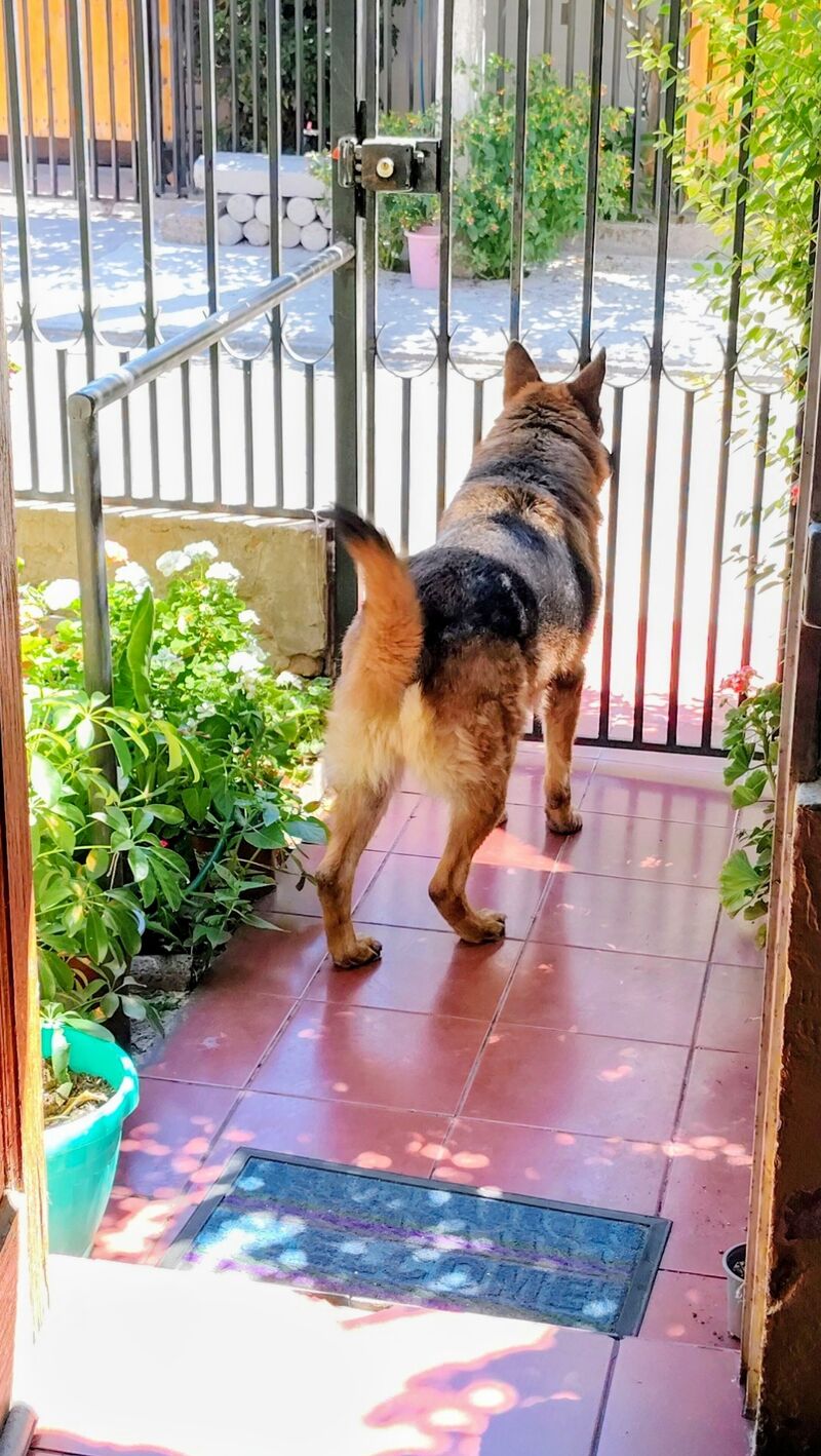 He's my beautiful baby ❣️