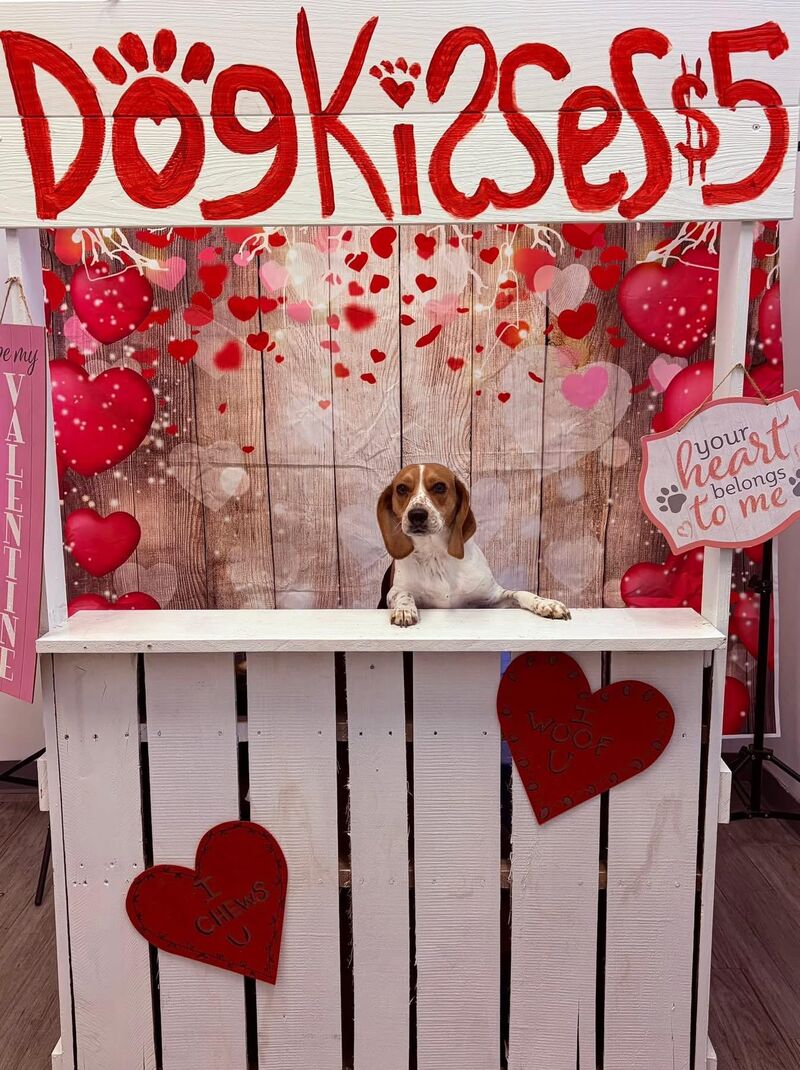 Happy St. Valentine’s Day!