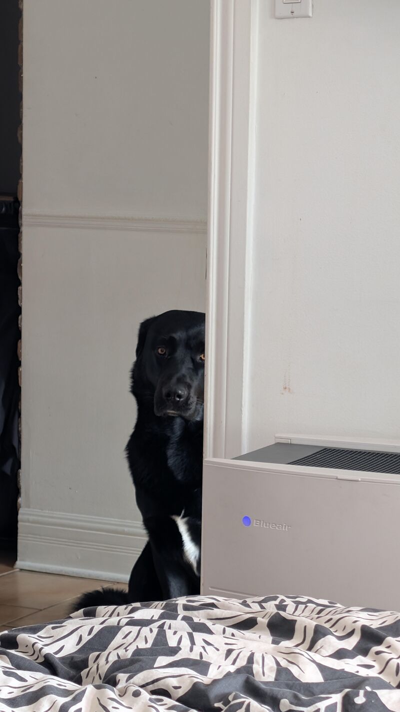 Just a funny story about my morning