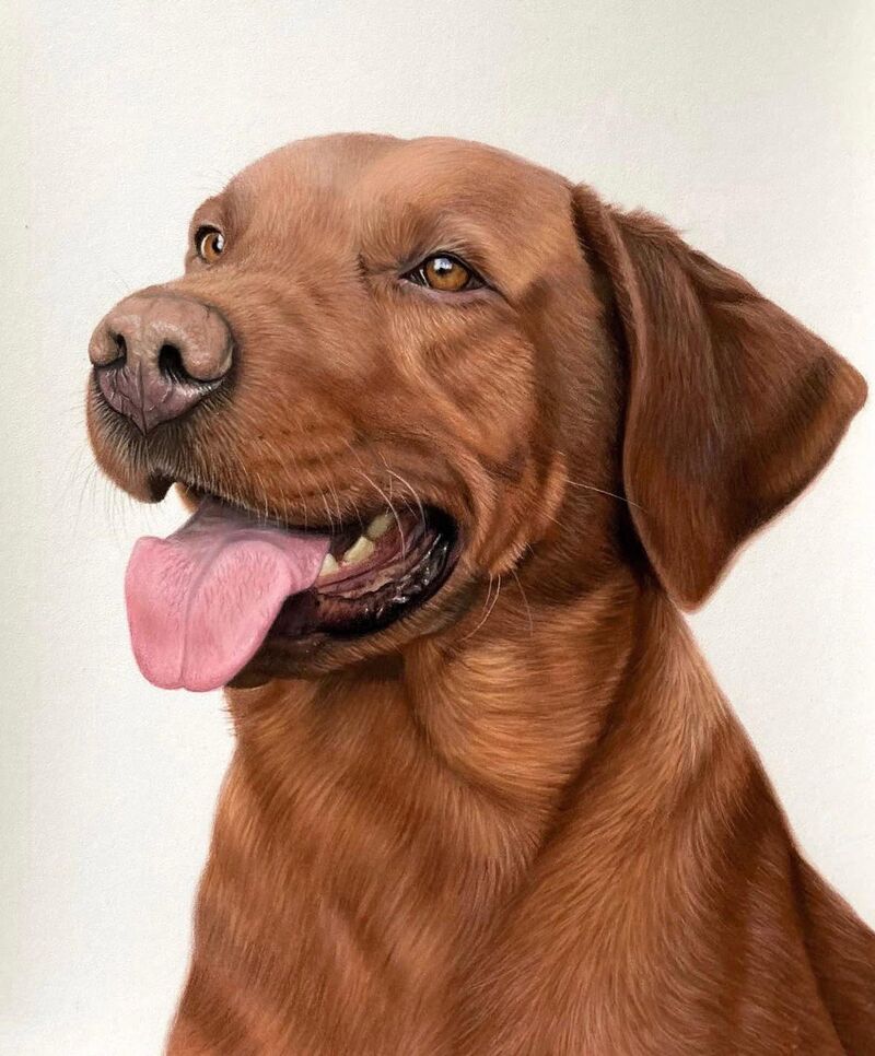 My latest realistic dog portrait. Spent 72 hours on this fur detail — worth it?