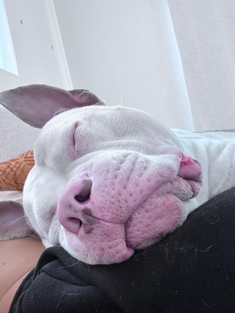 Happy Valentines day