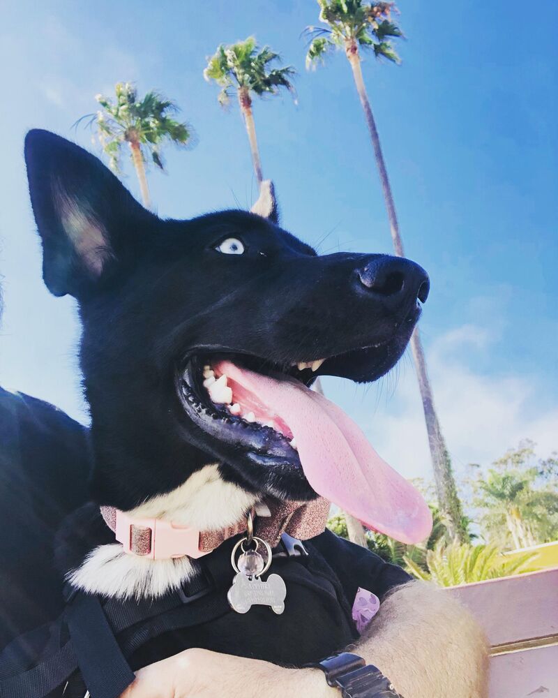 Sapphire is a California Girl!