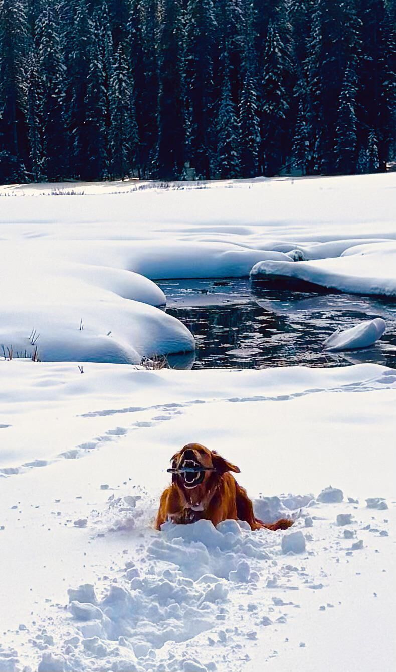 Took her to her favorite spot for Valentine’s Day