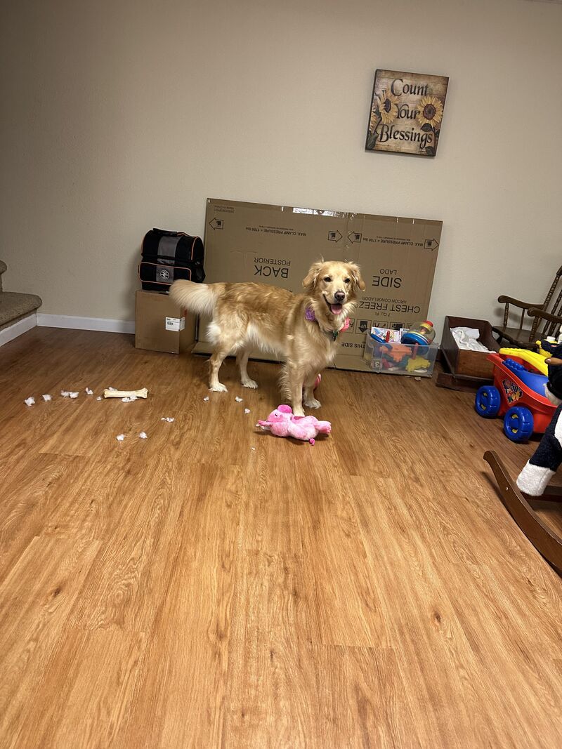 She’s totally innocent!