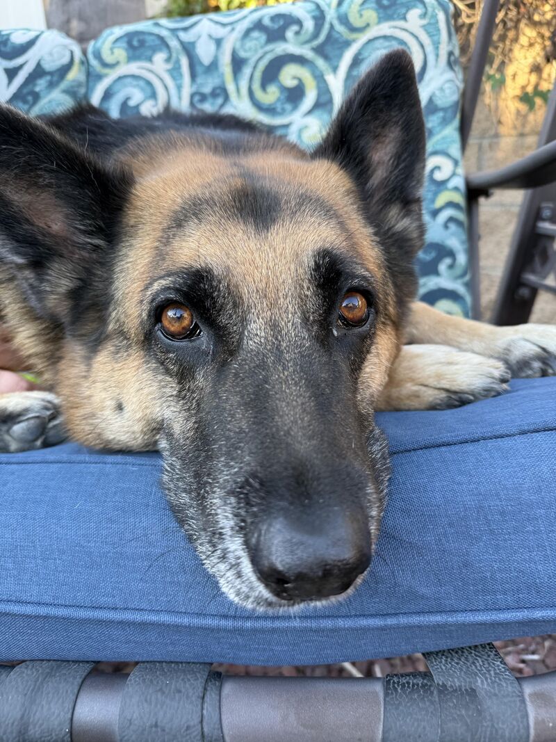 Happy Valentines Day