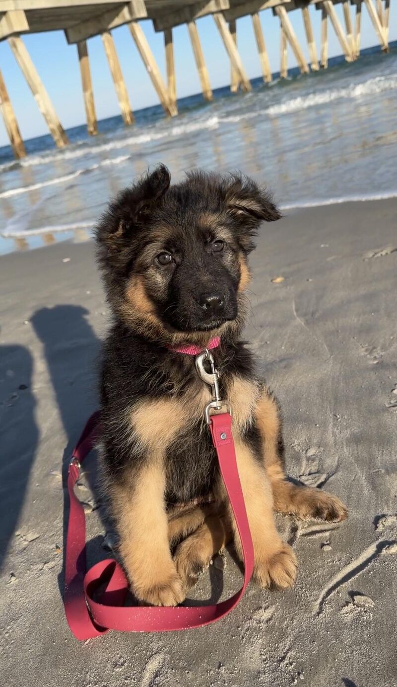 Our first visit to the beach 🏝️ was a success