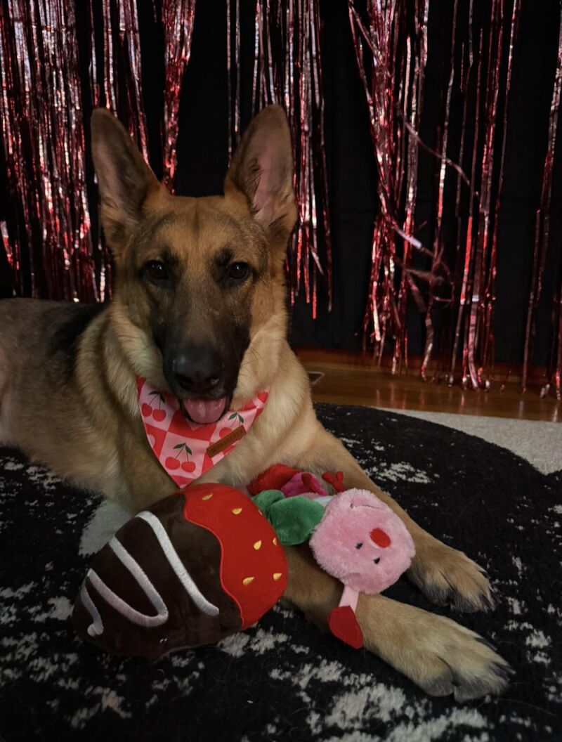 Happy Valentine’s Day ♥️