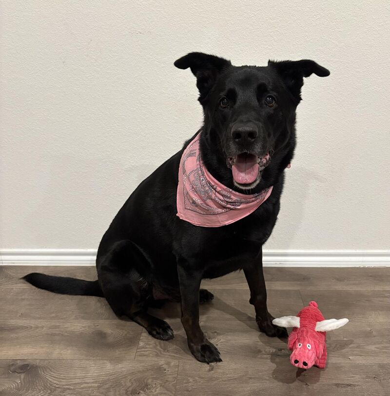 Titus want to know if you think he looks good in pink