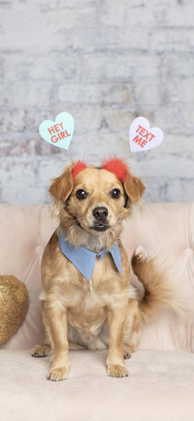 Beowulf's first Valentine's Day