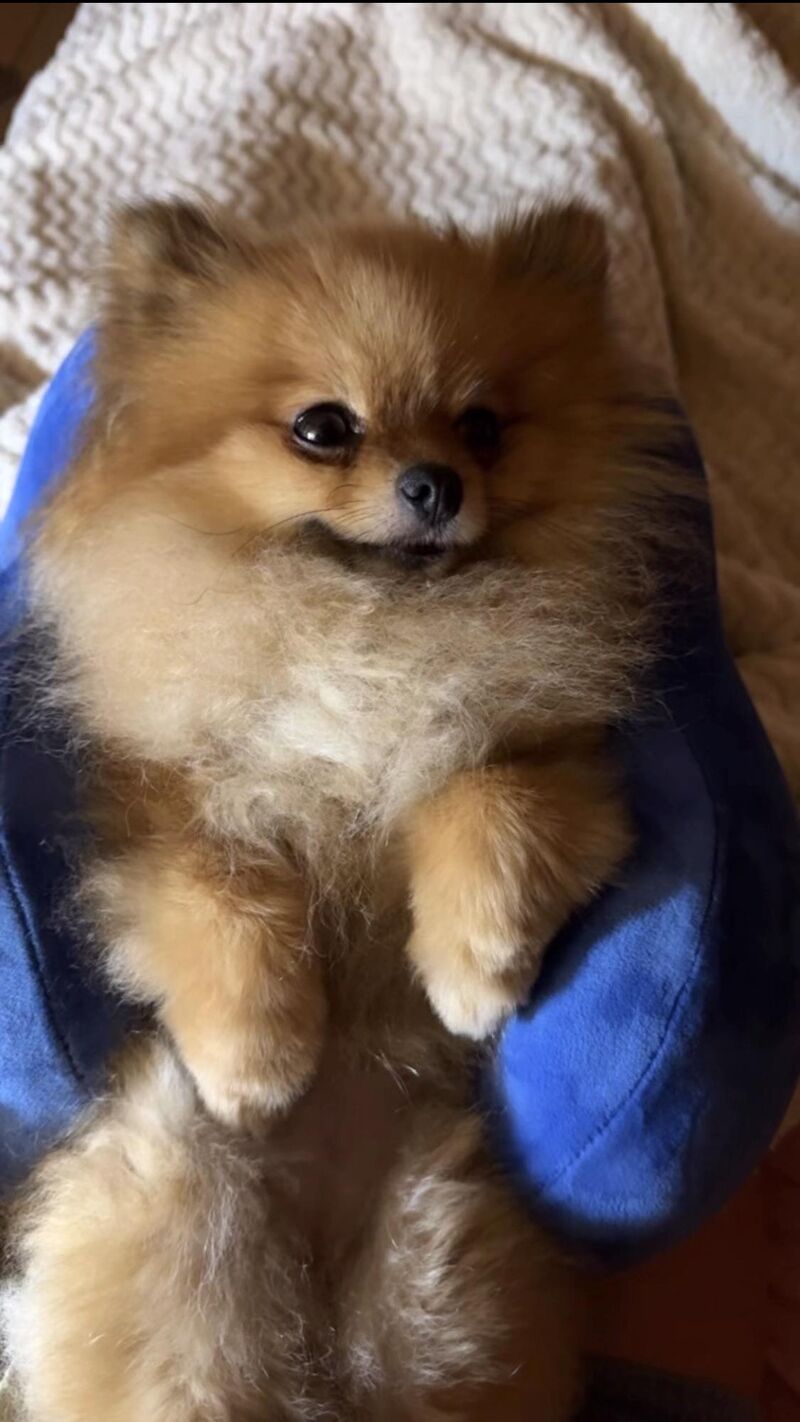 HAPPY VALENTINE'S DAY ❤️