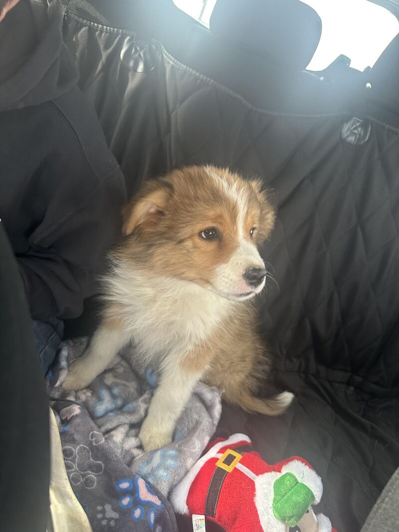 Welcome to the zoo Rip!