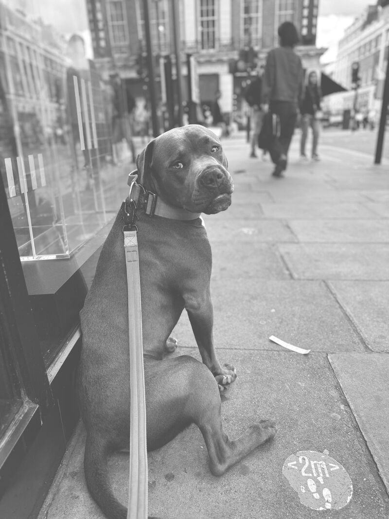 My boy waiting off Oxford St