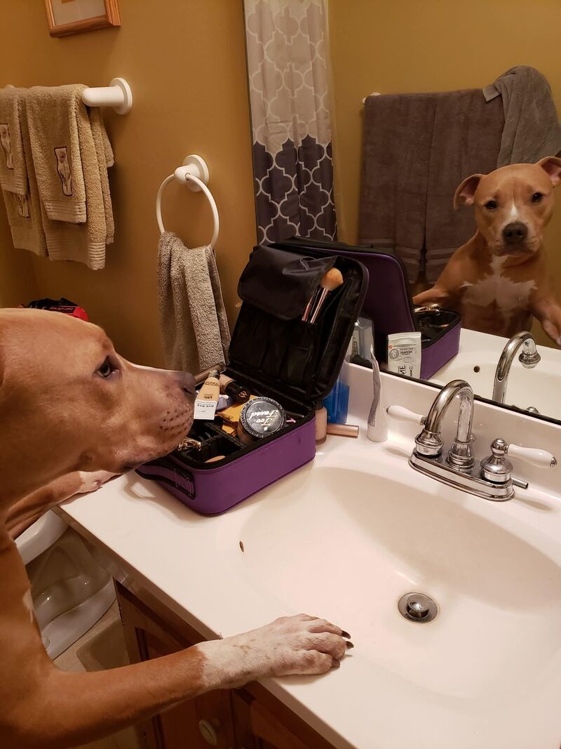 Leo making sure his contour is on point