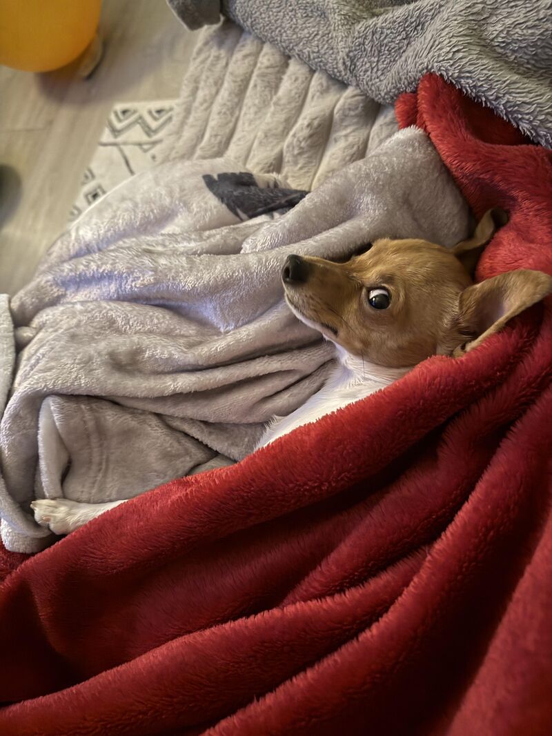 Didn’t mean to startle you!