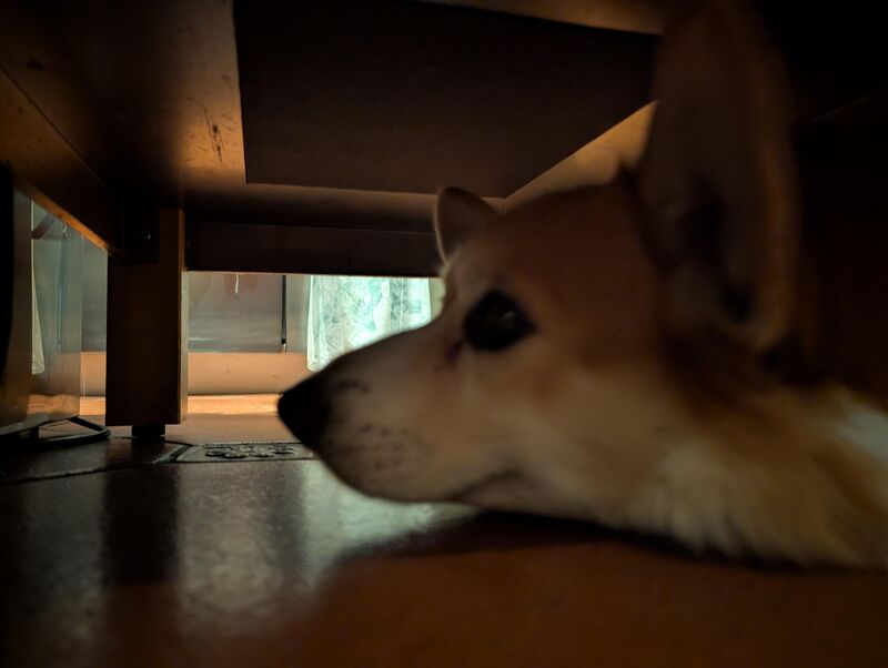 When the crumble falls under the body-shaming table