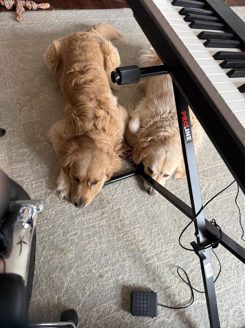 That “sorry, Mom” look 😭❤️