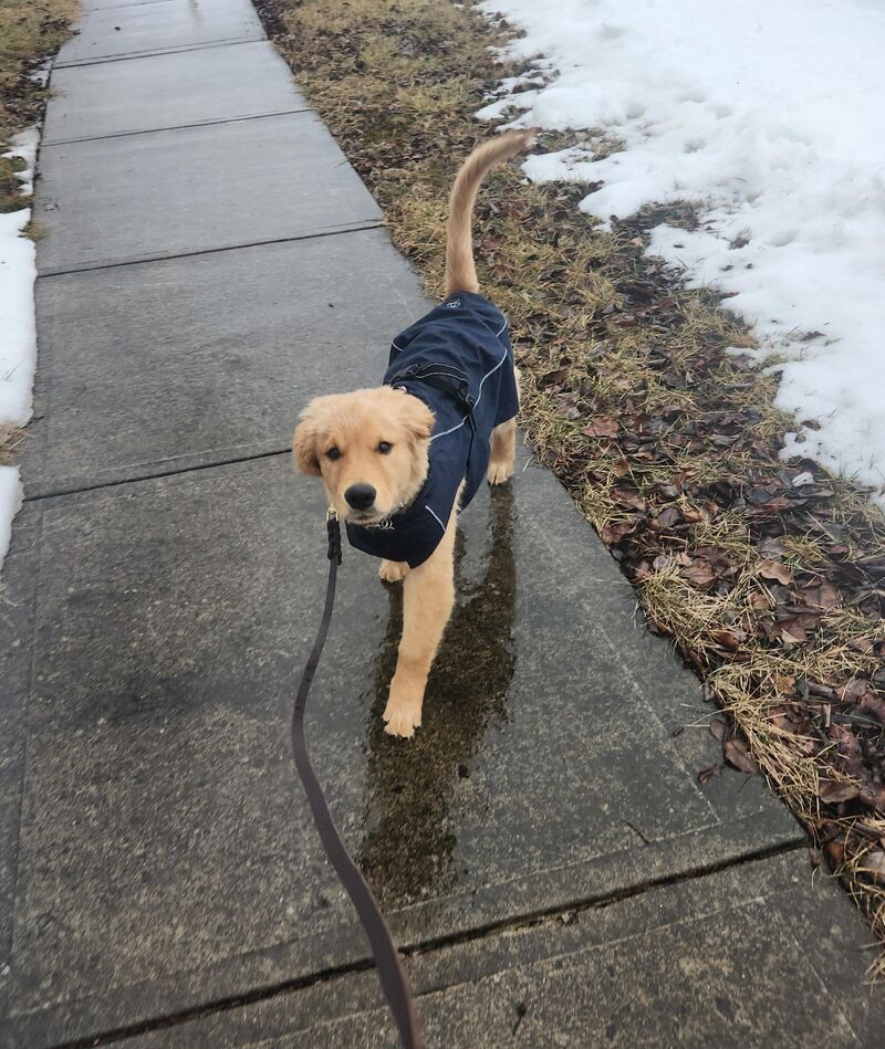 🌧 morning walk 🌧