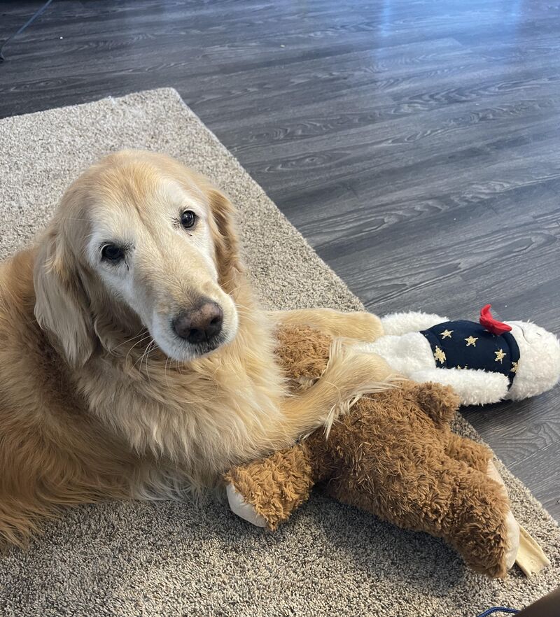 I will never get tired of this!