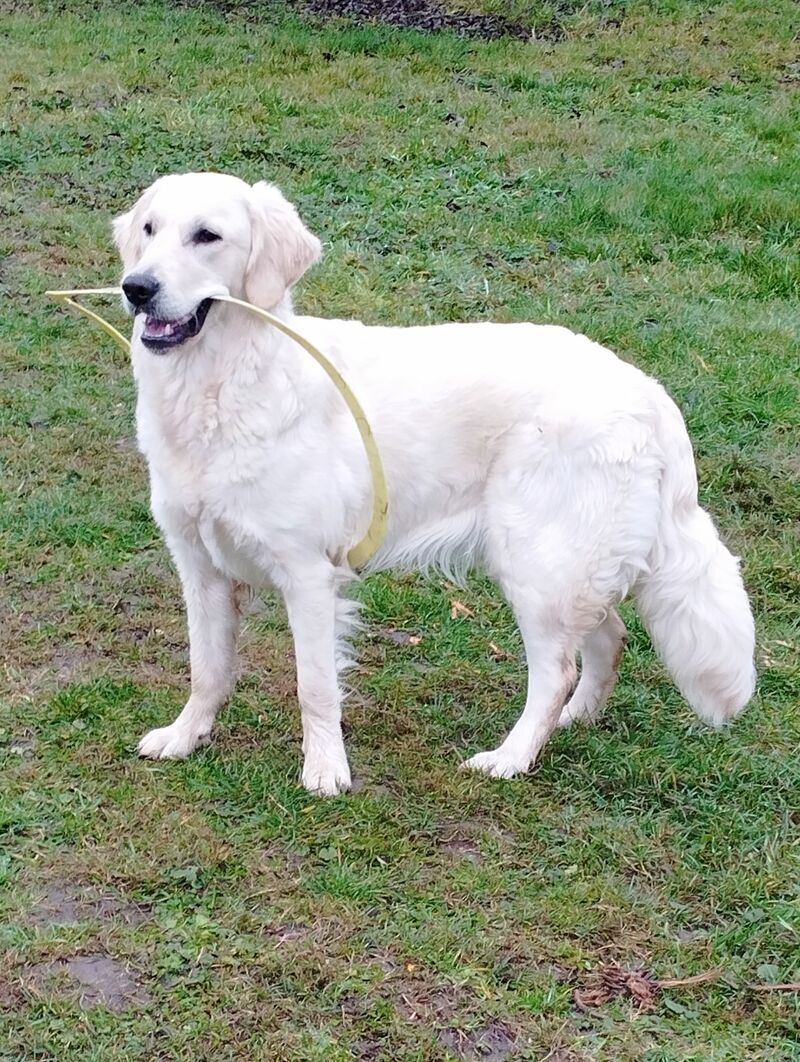 Having a hard time with our 1 year old