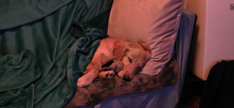 Awh geez... looks like I won't be finishing this one again