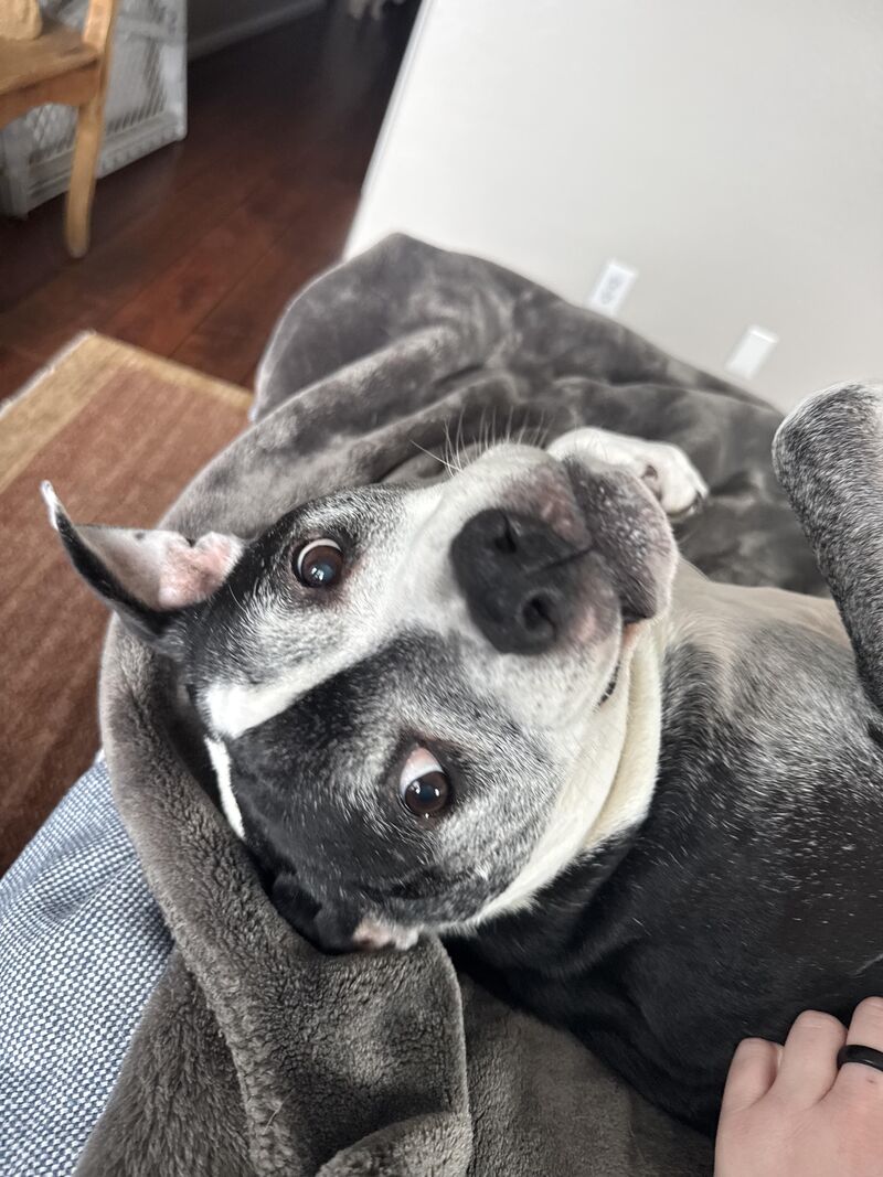 Show me your senior pitties?