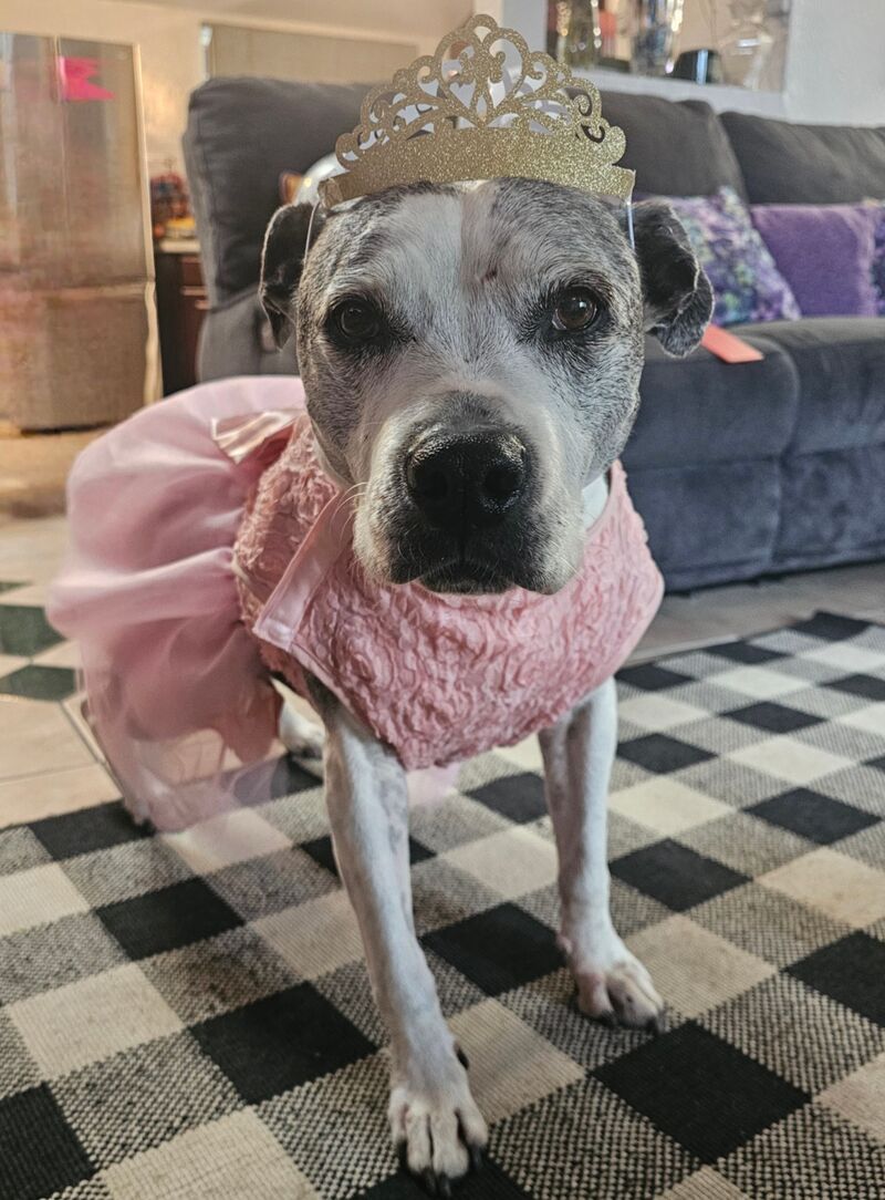 My Baby Girl turned 15!