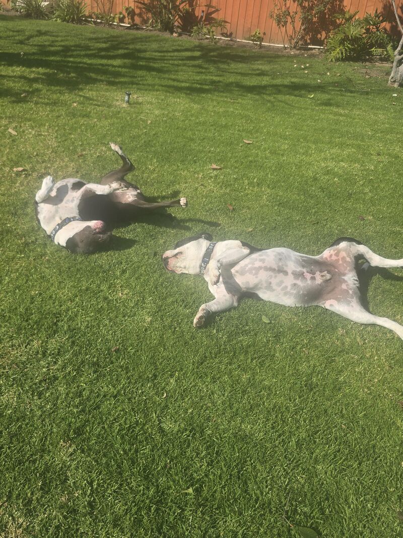 Life after a death row concrete prison cell 💕