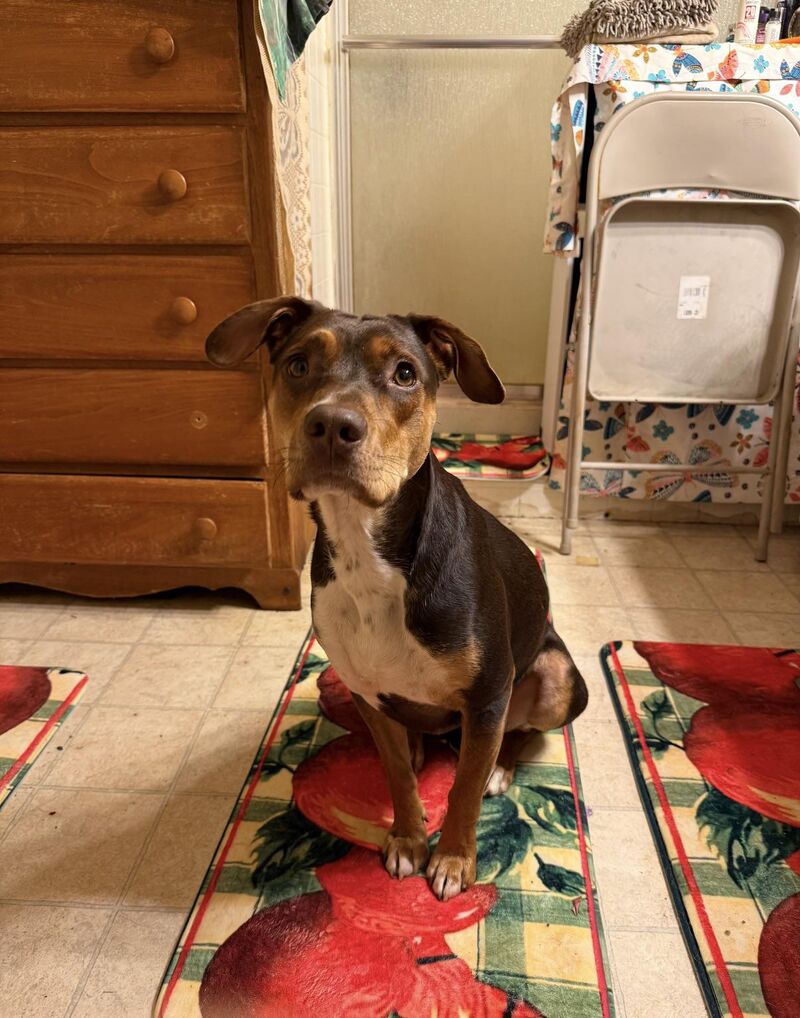 Looking to rent with my baby