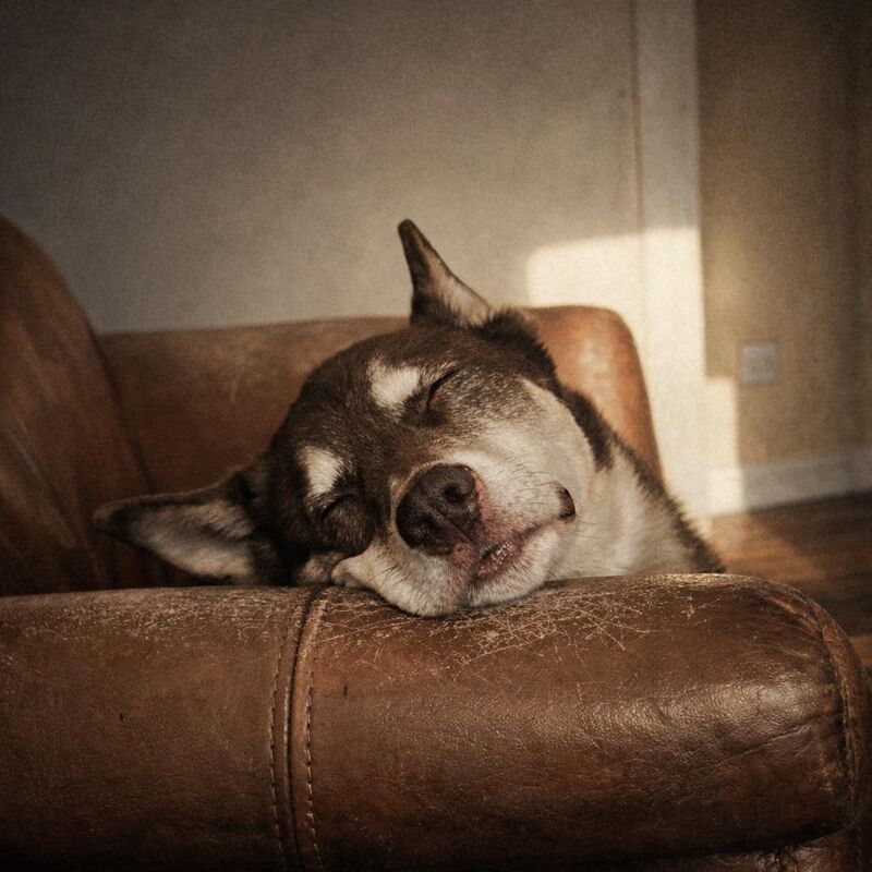 Posted this in r/accidentalrenaissance and people really didn't like it. Maybe he'll be more accepted here