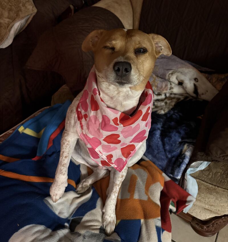 She’s festive today